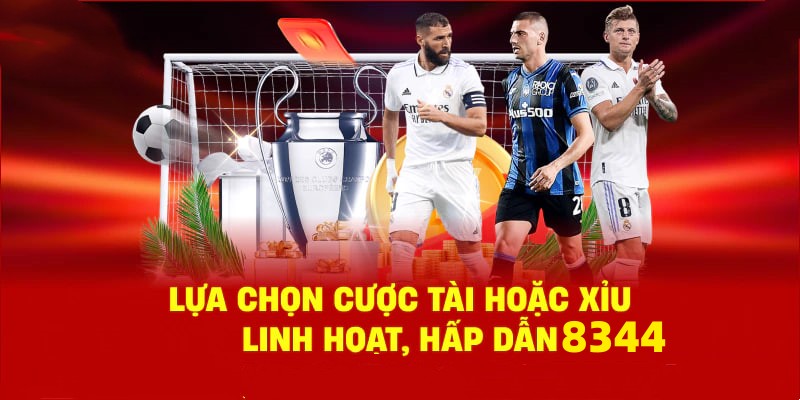 Danh mục đa dạng, đoán chuẩn là nhận tiền