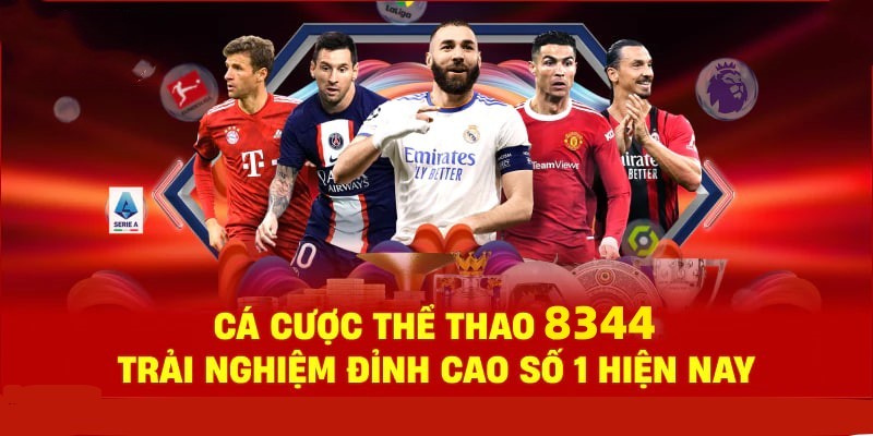 Đá Gà Philippines – Tinh Hoa Truyền Thống Và Thể Thao 